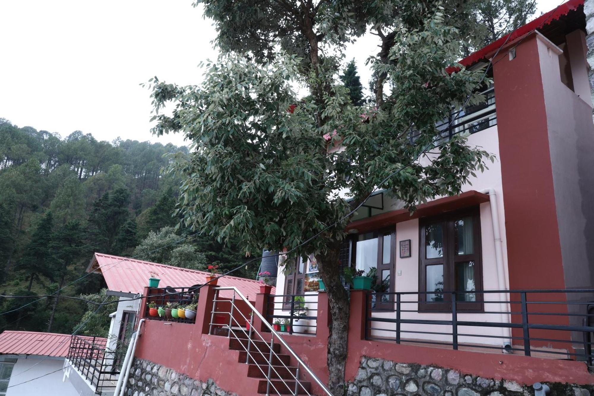 Naini's Nest Alpine View Homestay *
